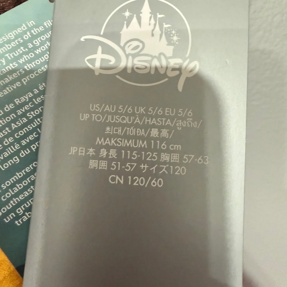 Disney raya last