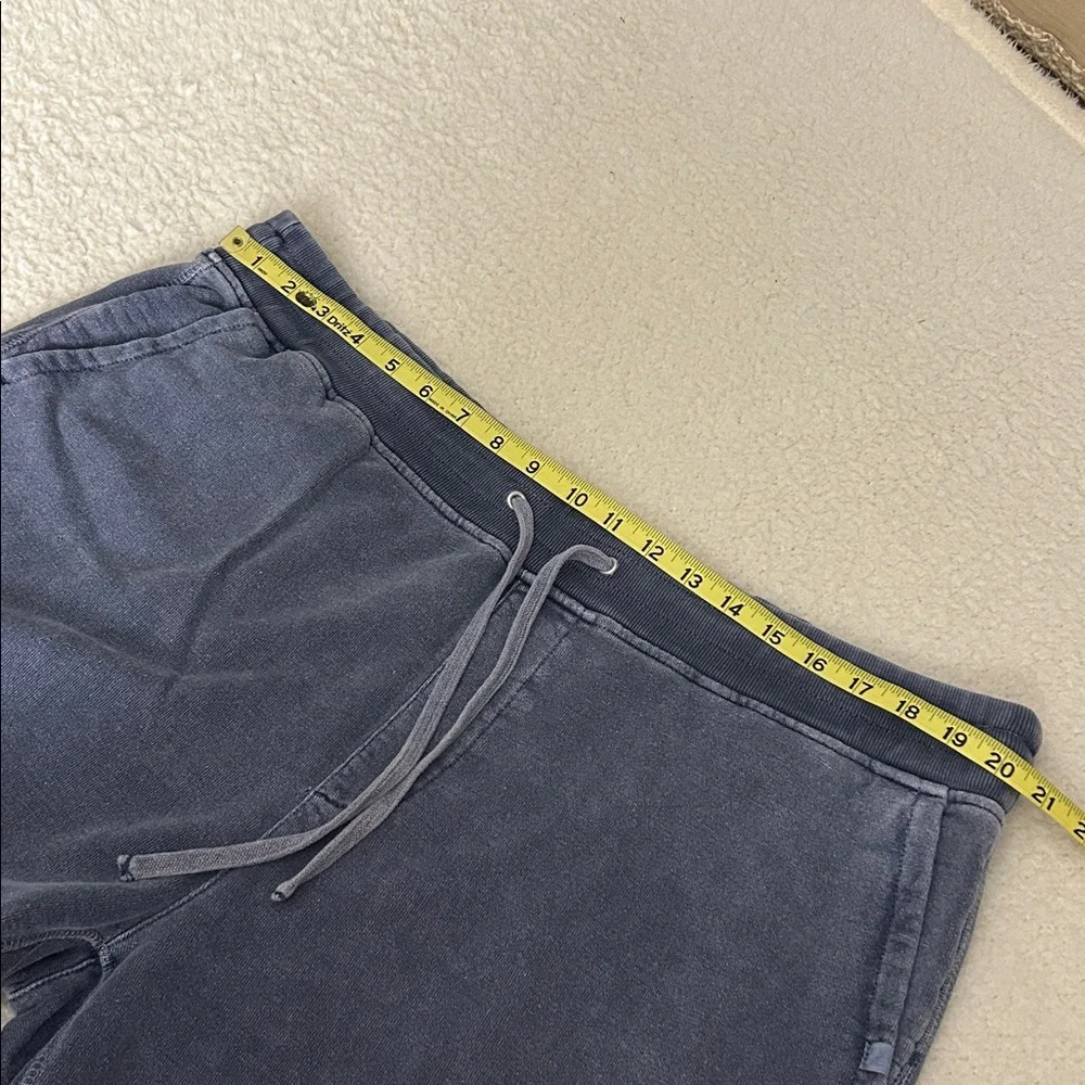 Outerknown sweat pants