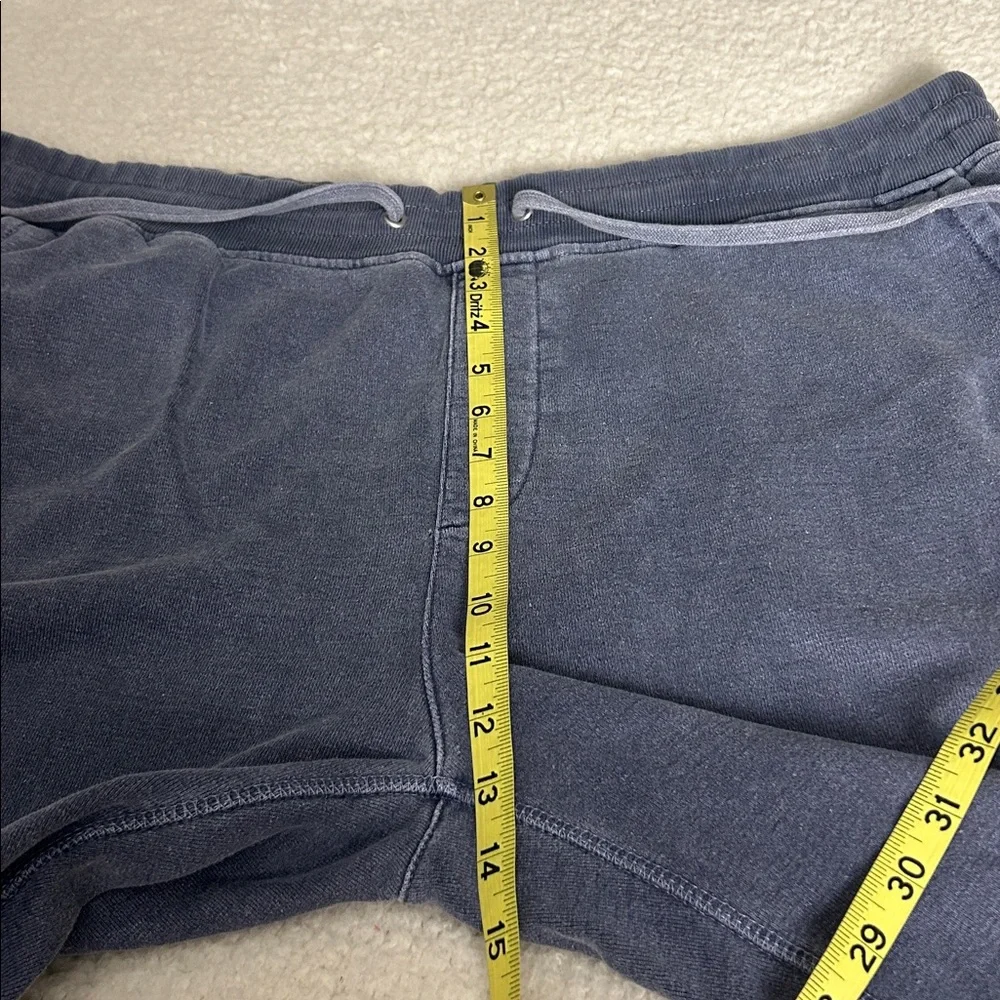 Outerknown sweat pants