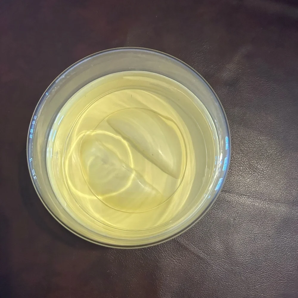 Pyrex glass canister