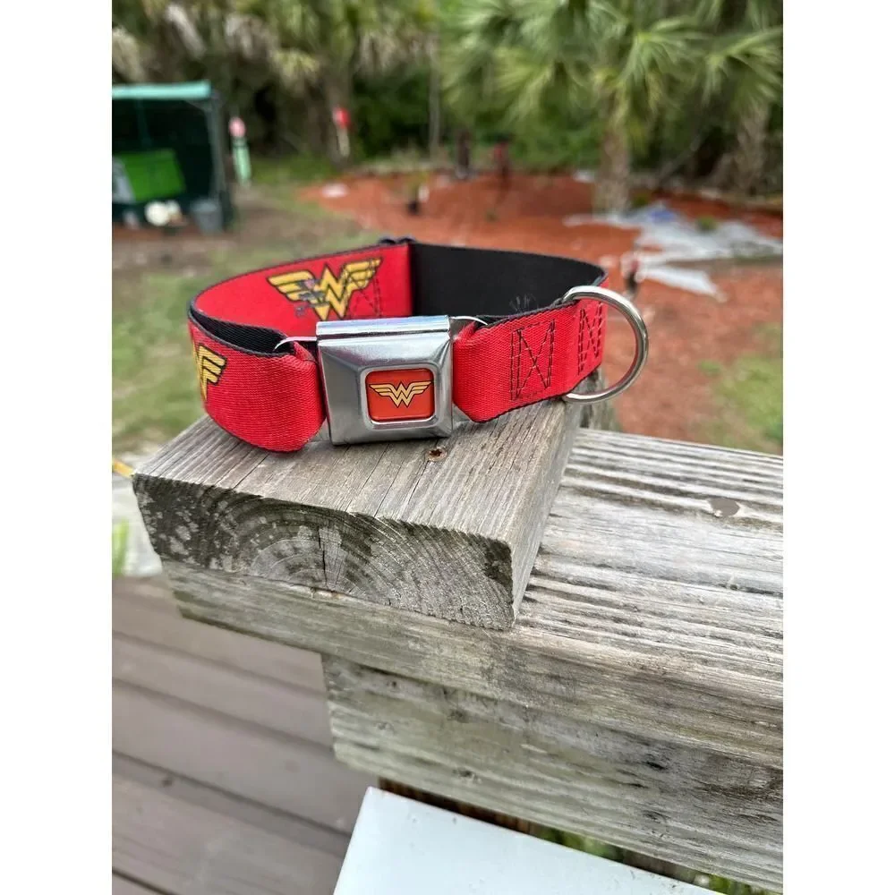 Buckle Down dog collar