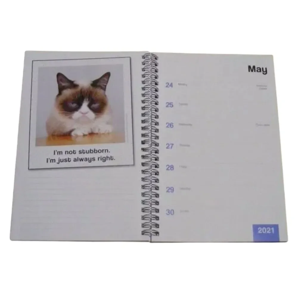 Grumpy Cat grumpy cat