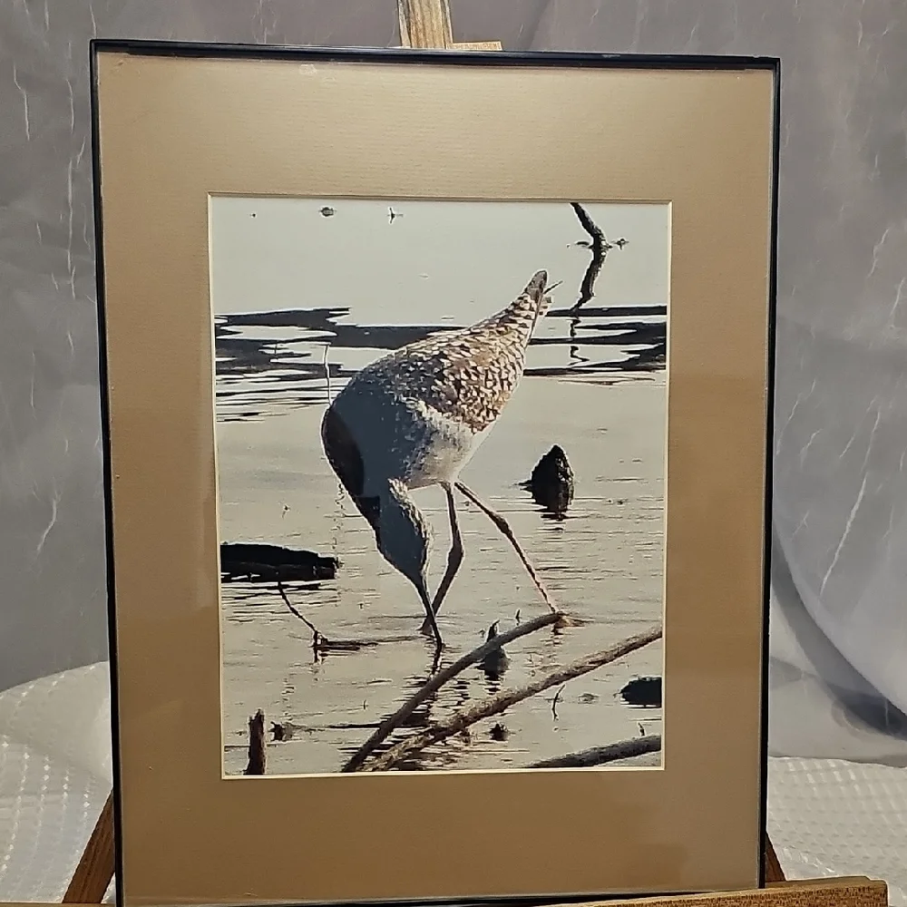 Pair Of Framed Wildlife Art Prints - Deer And Crane.