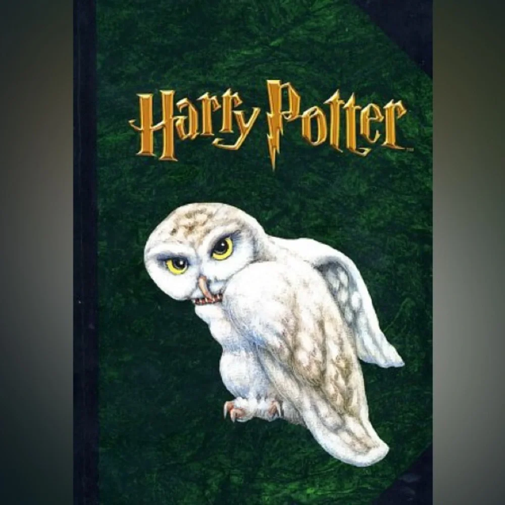 Harry Potter Hardcover Hedwig the Owl Journal