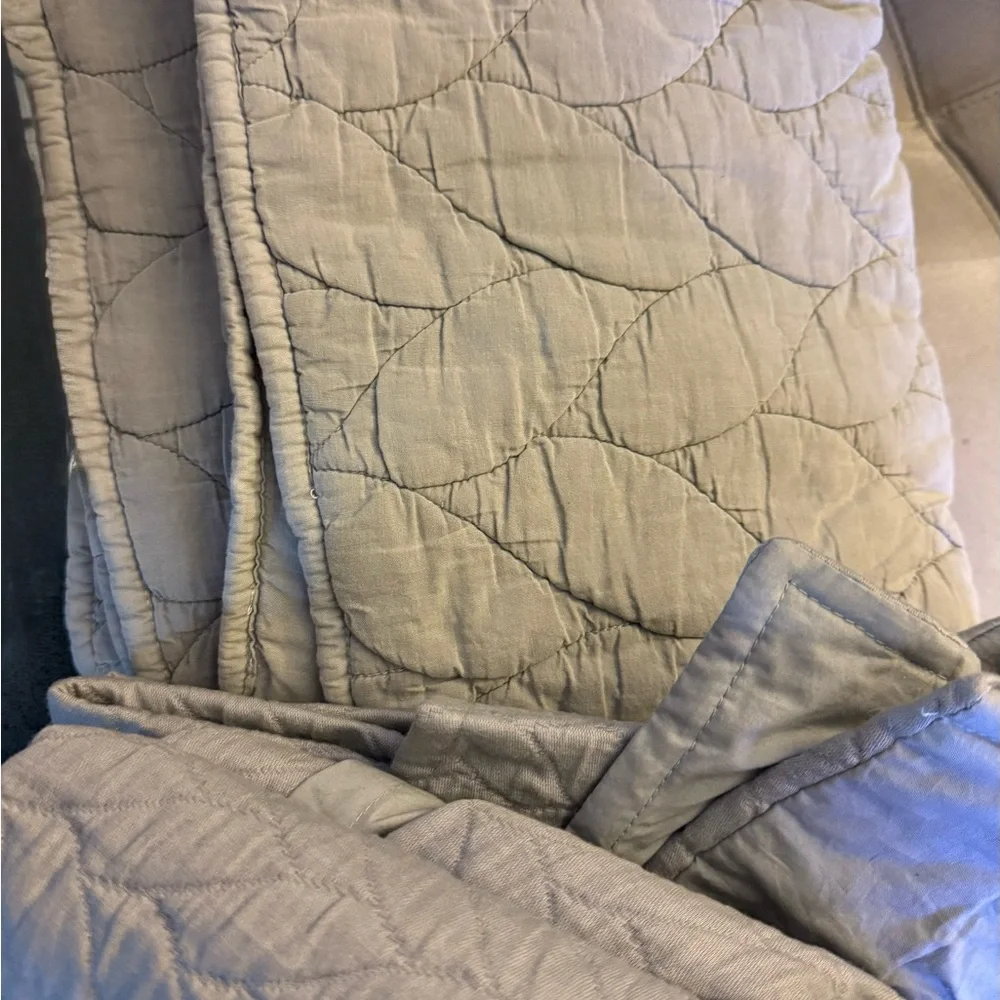 West Elm organic cotton