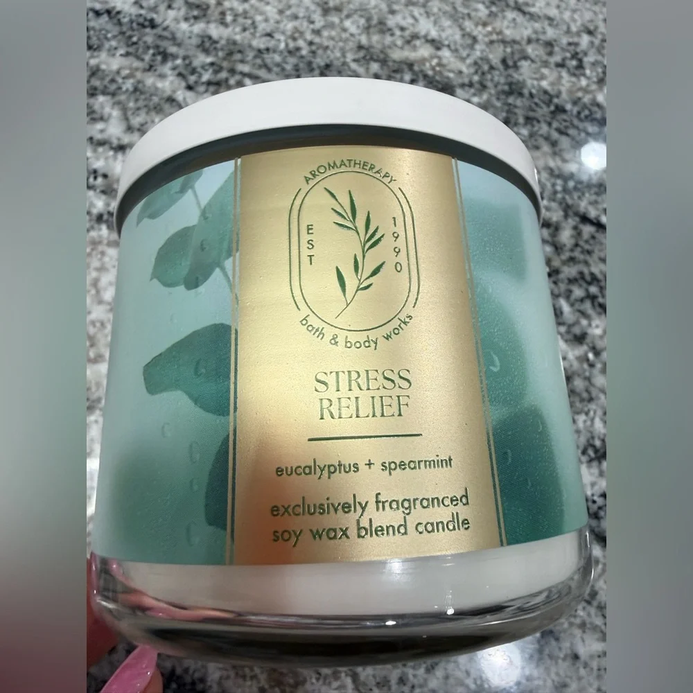 NWT Bath & Body Works Eucalyptus Spearmint Aromatherapy Candle