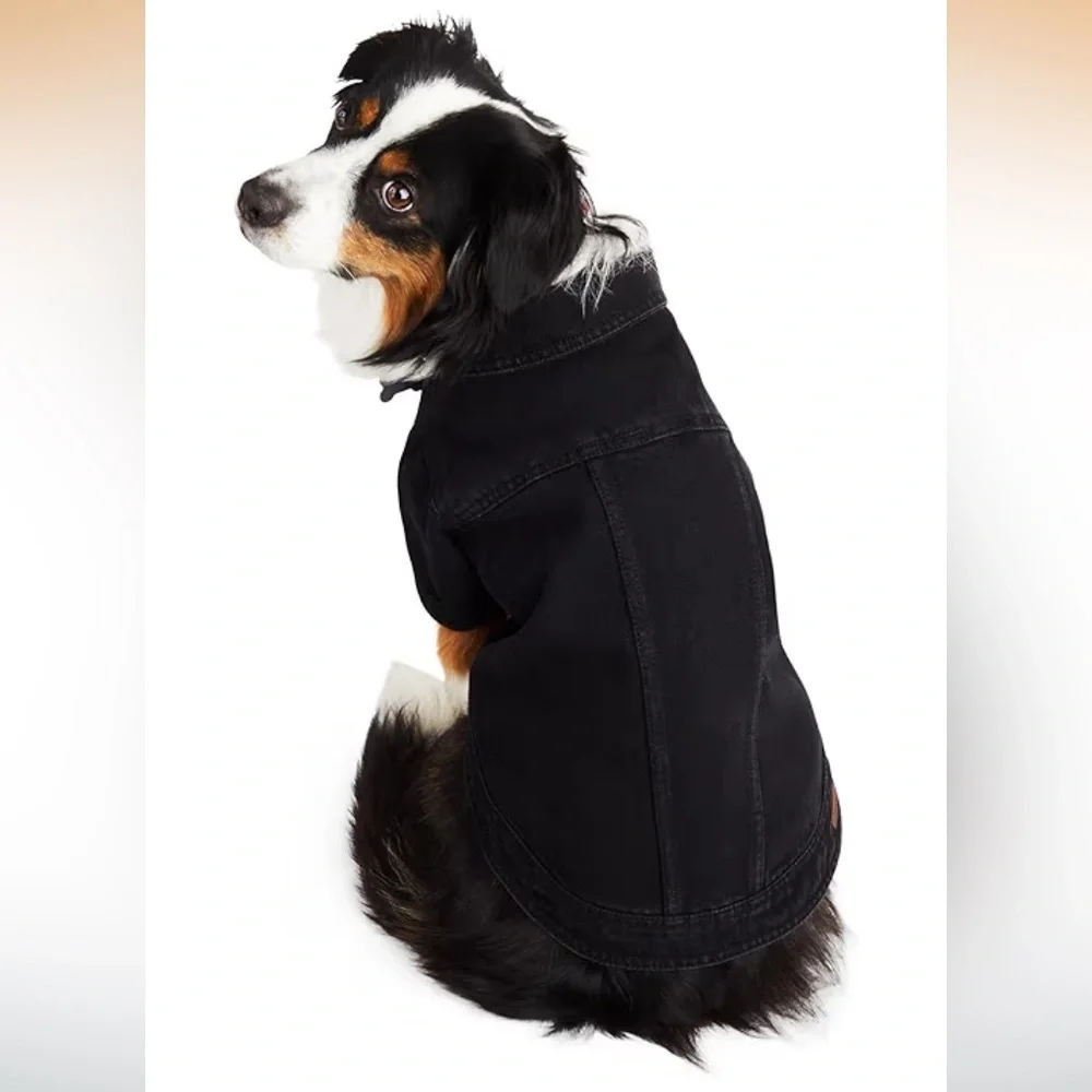 Reddy dog pet