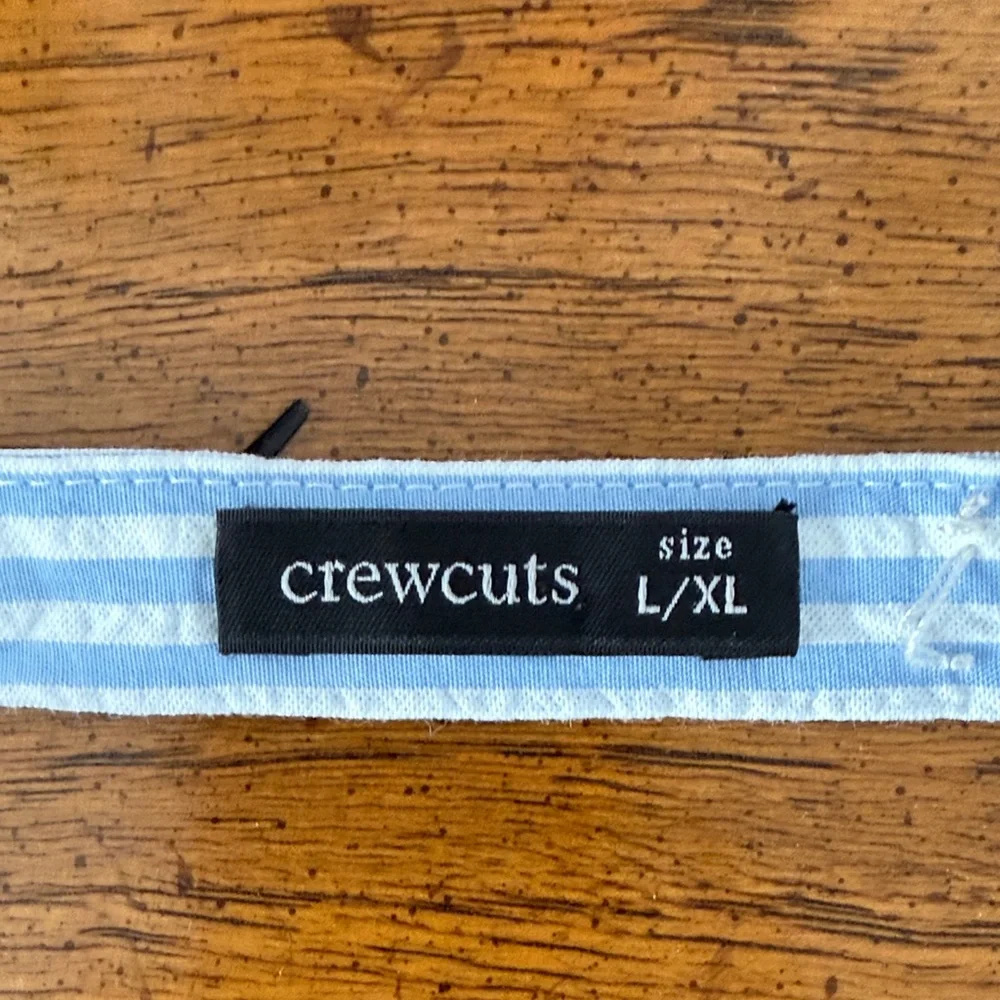 Crewcuts striped charming blue