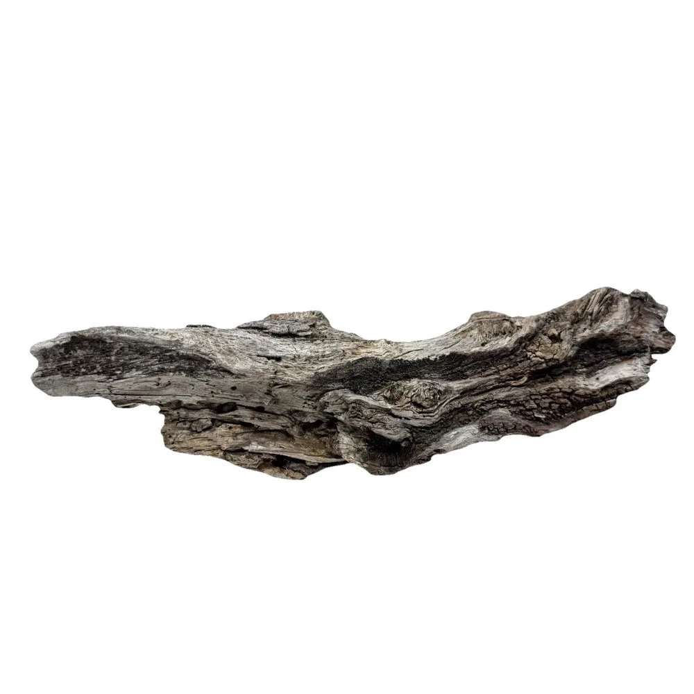 Irregular California Driftwood with Rich Grain & Natural Knots Coastal Wood Art