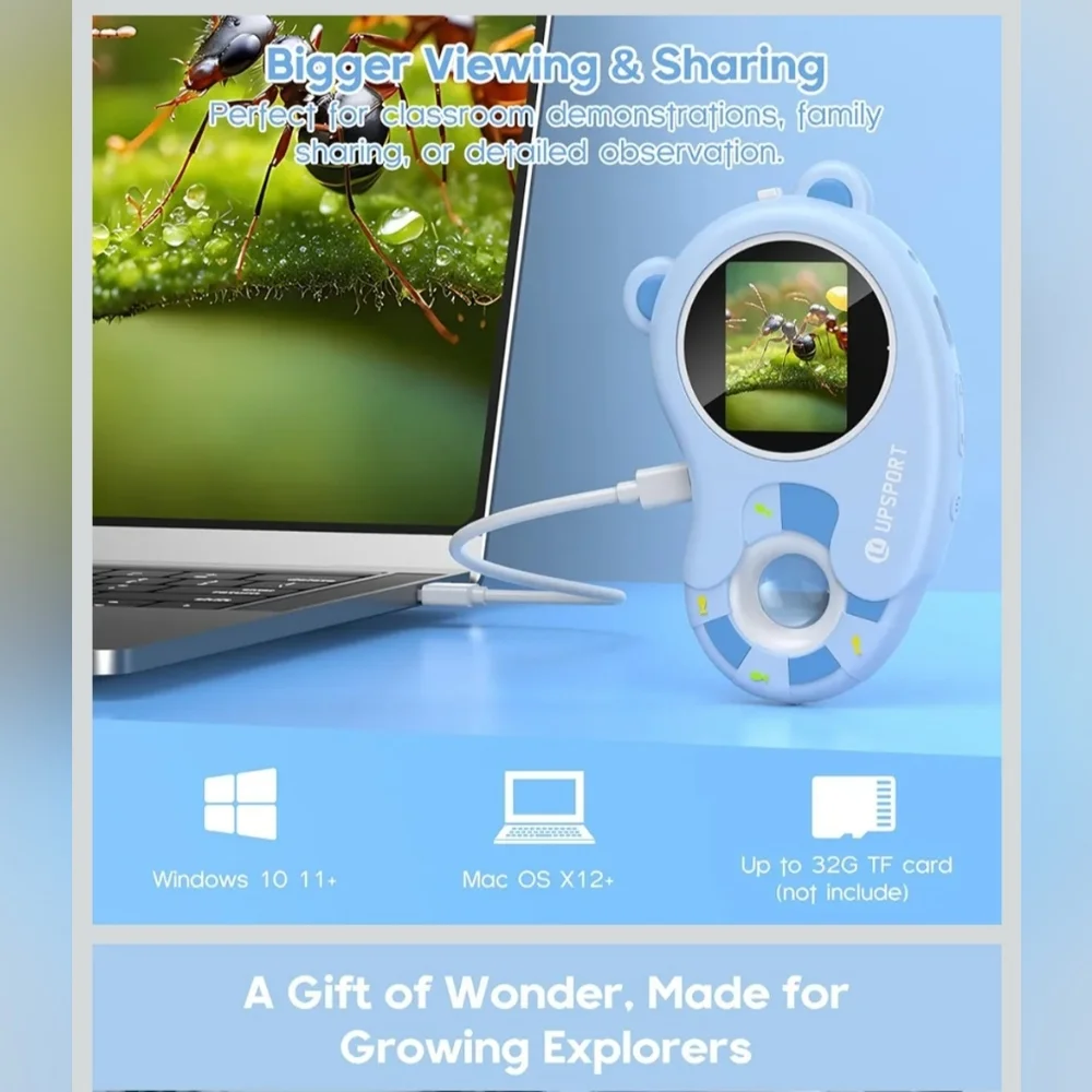 Sea & Mew Accounting Ltd Up Sport new box