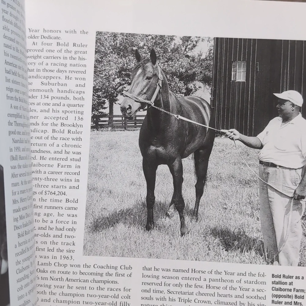 Blood-Horse Publications some horse