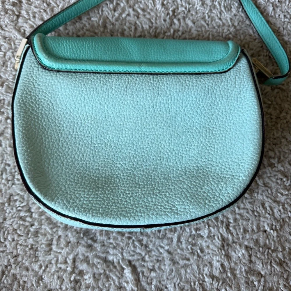elegant aqua