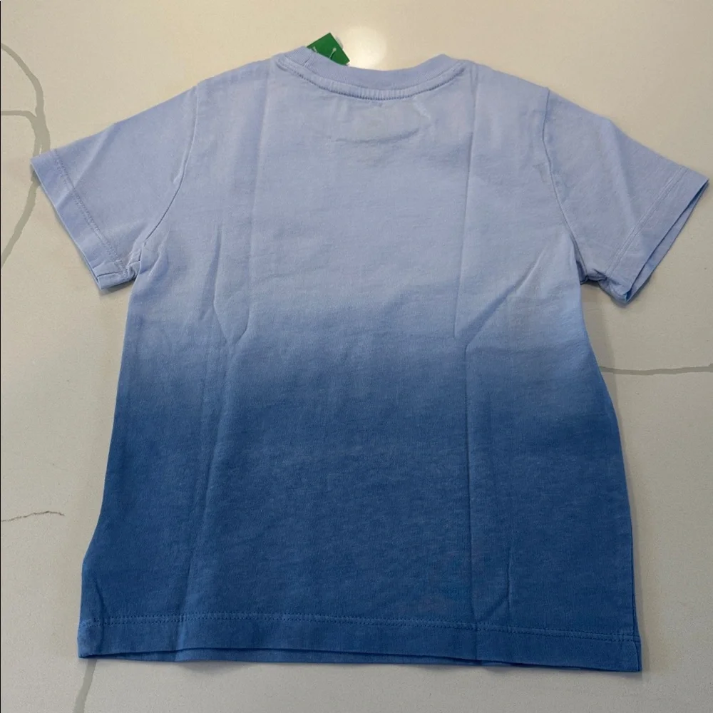 NWT Gap baby Brannan bear short sleeve pocket t-shirt ombré blue size 5