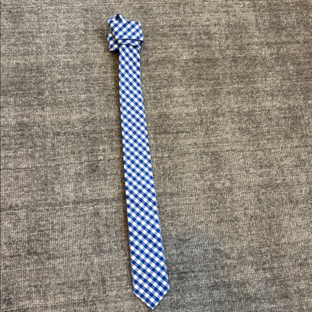 Crewcuts blue gingham
