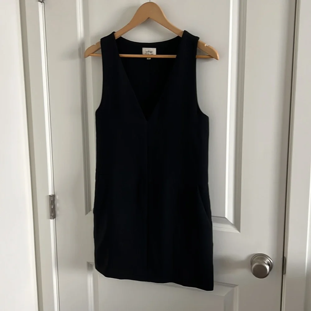 Wilfred aritzia dress