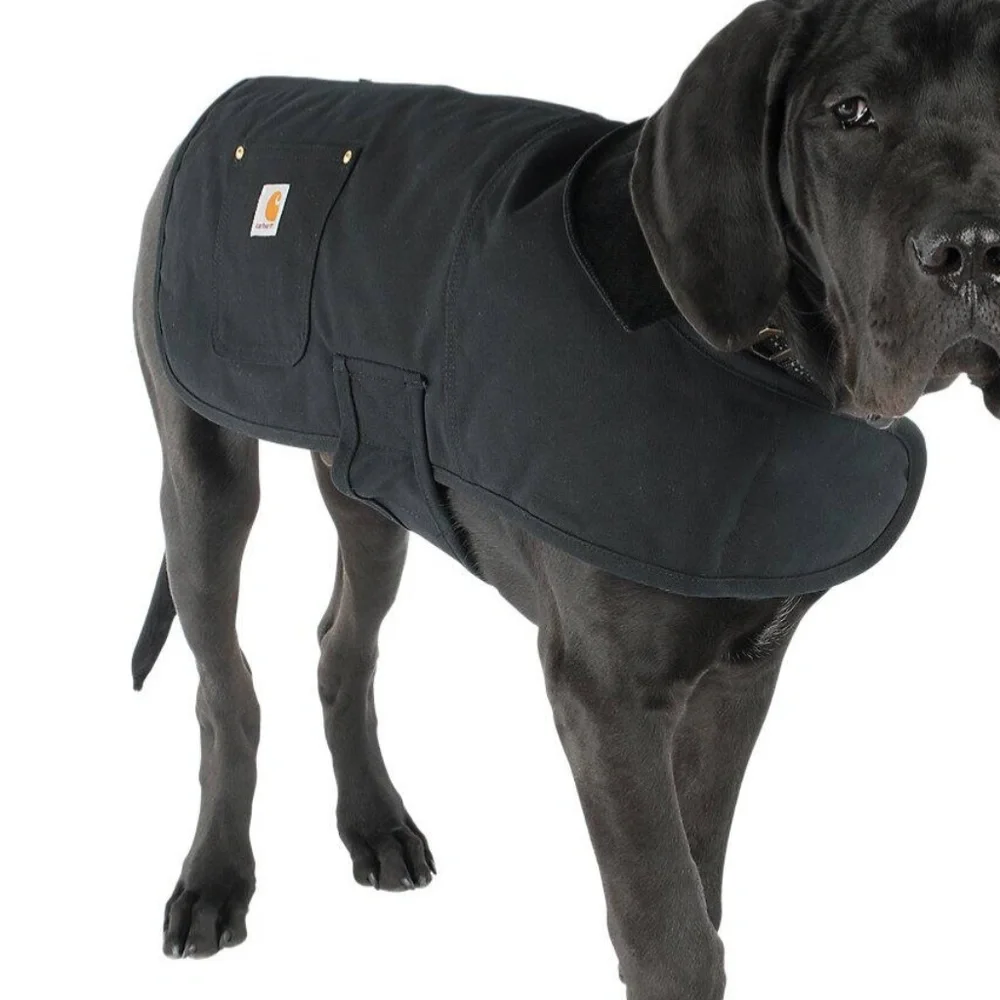 Carhartt Dog Medium Firm Duck Canvas Insulated Chore Coat Black Pockets PX0548