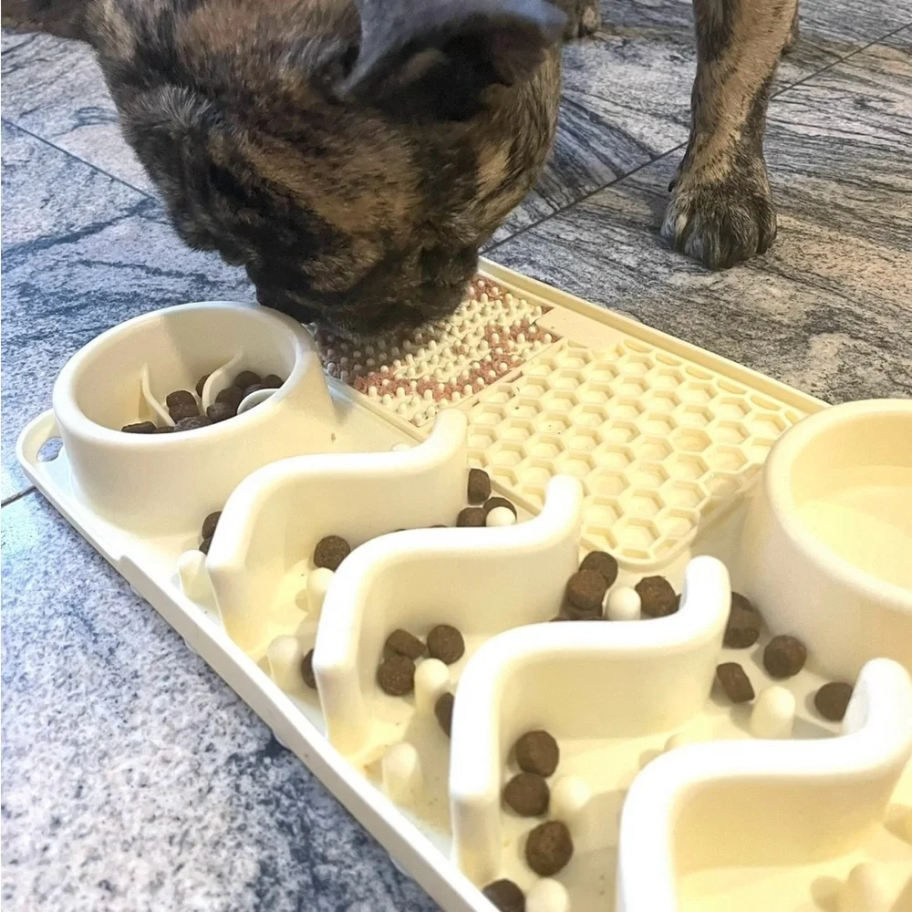 Slow Feeder Bowl Water Bowl Licking Mat for Dog Cats Food Mat Anxiety Relief