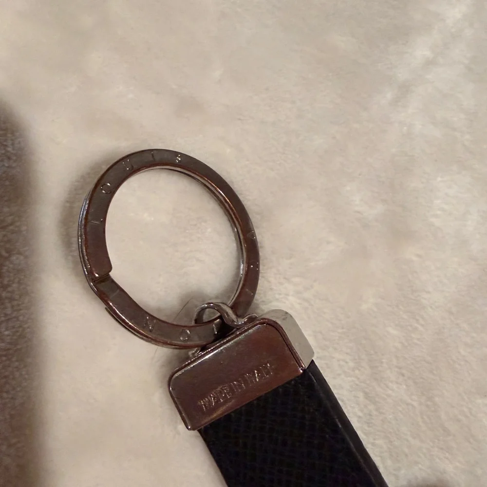 Louis Vuitton authentic louis