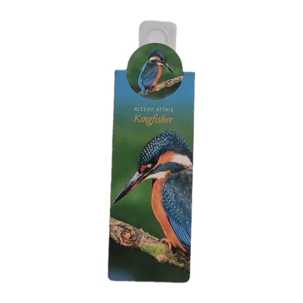Cardmarks Kingfisher Bird Wild Nature Magnetic Magnet UK Company If 2402 Y2k 00s