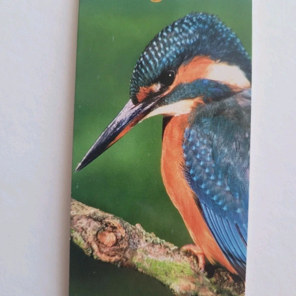 that company called if cardmarks kingfisher