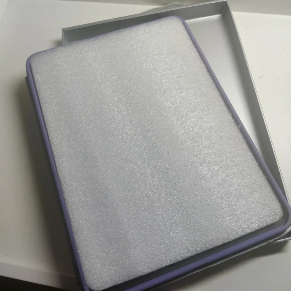 Esr ipad pro