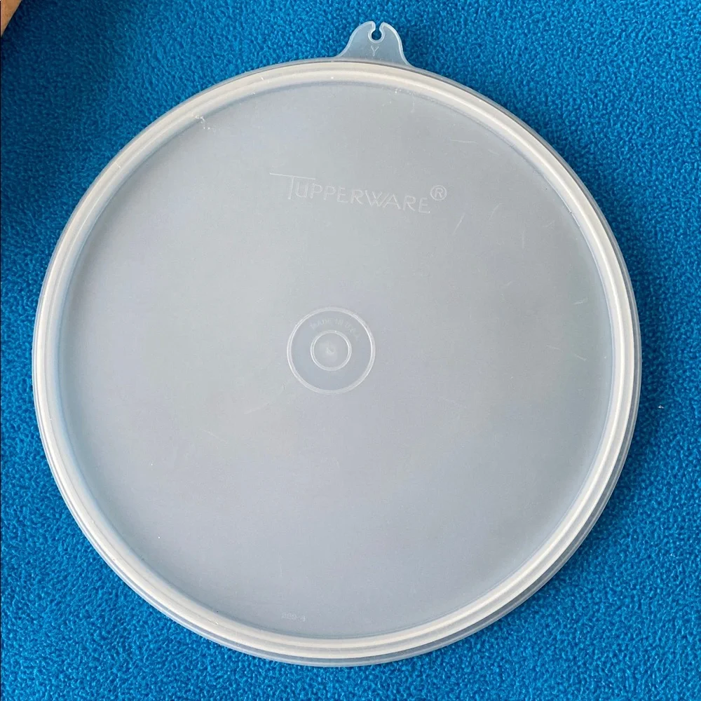 Tupperware divided sections