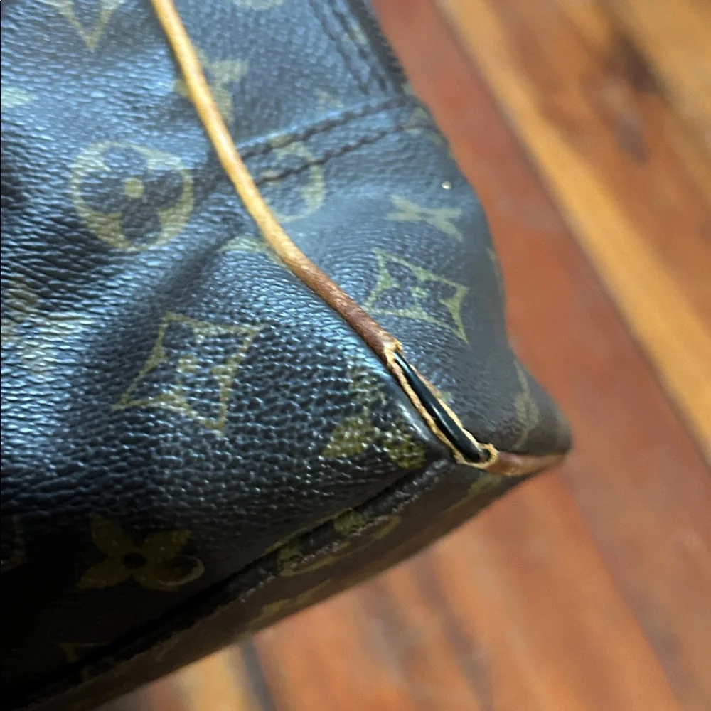 Louis Vuitton classic louis