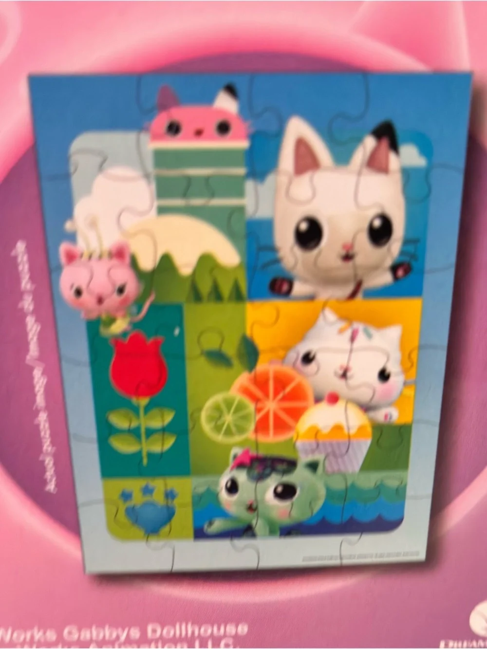 GabbyS Dollhouse puzzle pictures