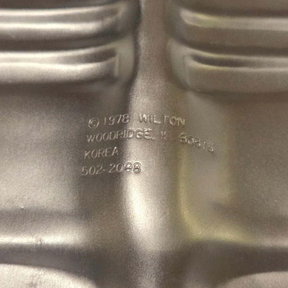 Wilton 1978 astronaut