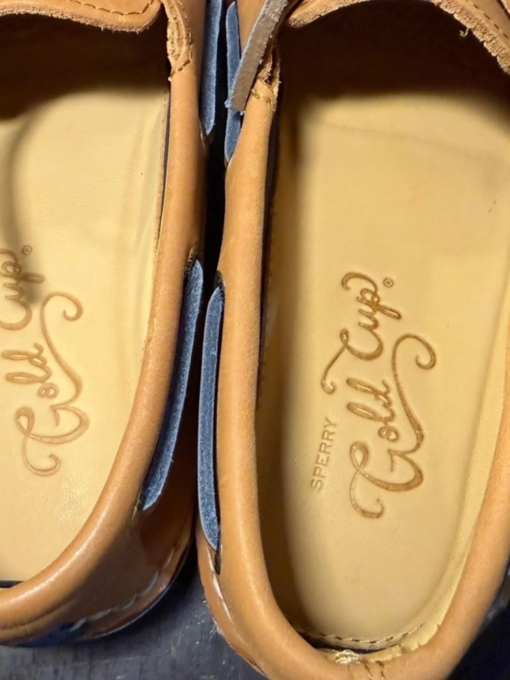 Sperry gold cup