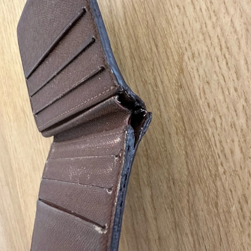 Louis Vuitton authentic louis