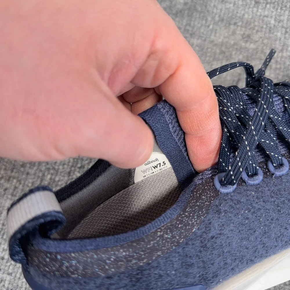 allbirds wool