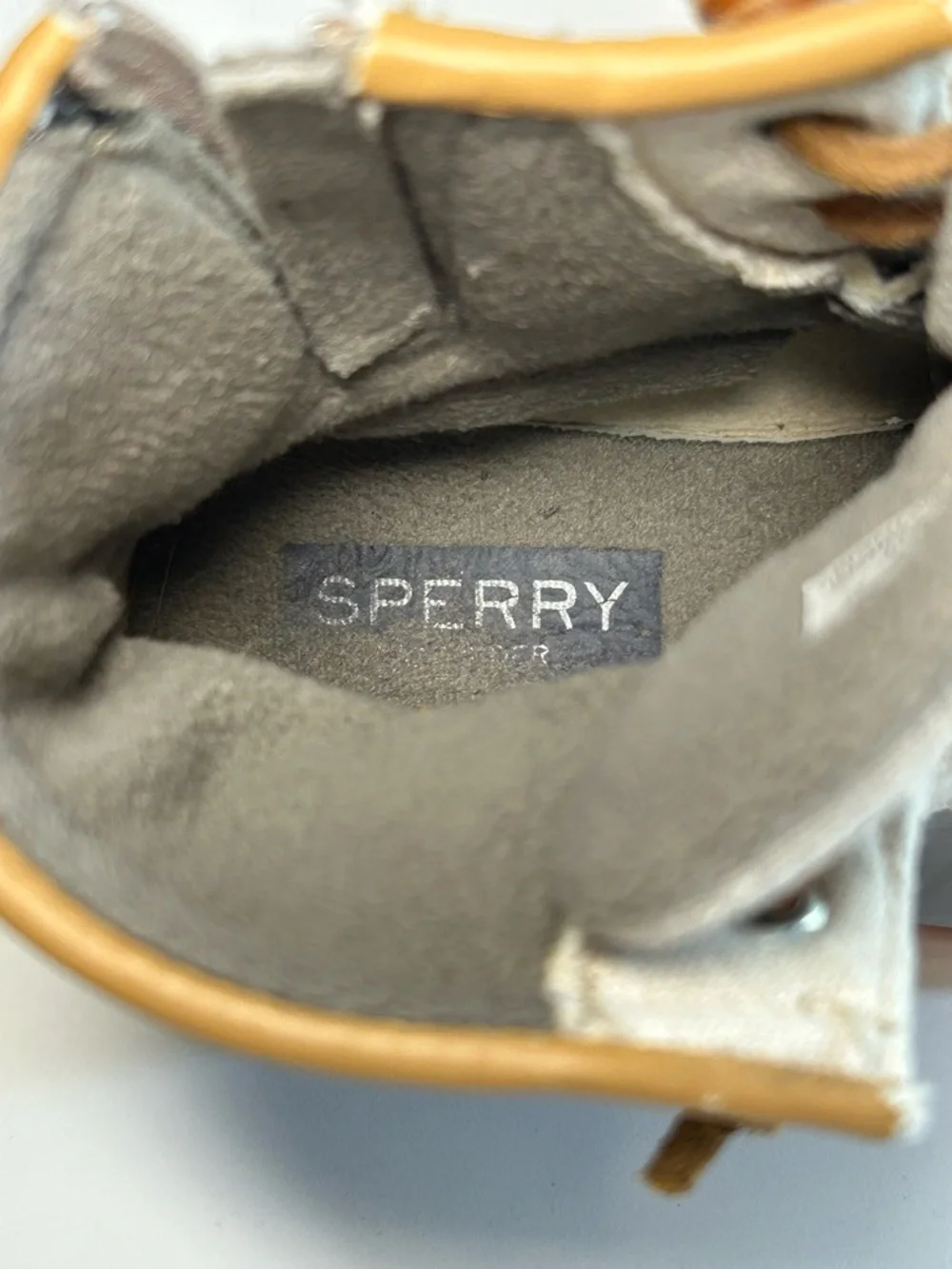 Sperry 🔶 top