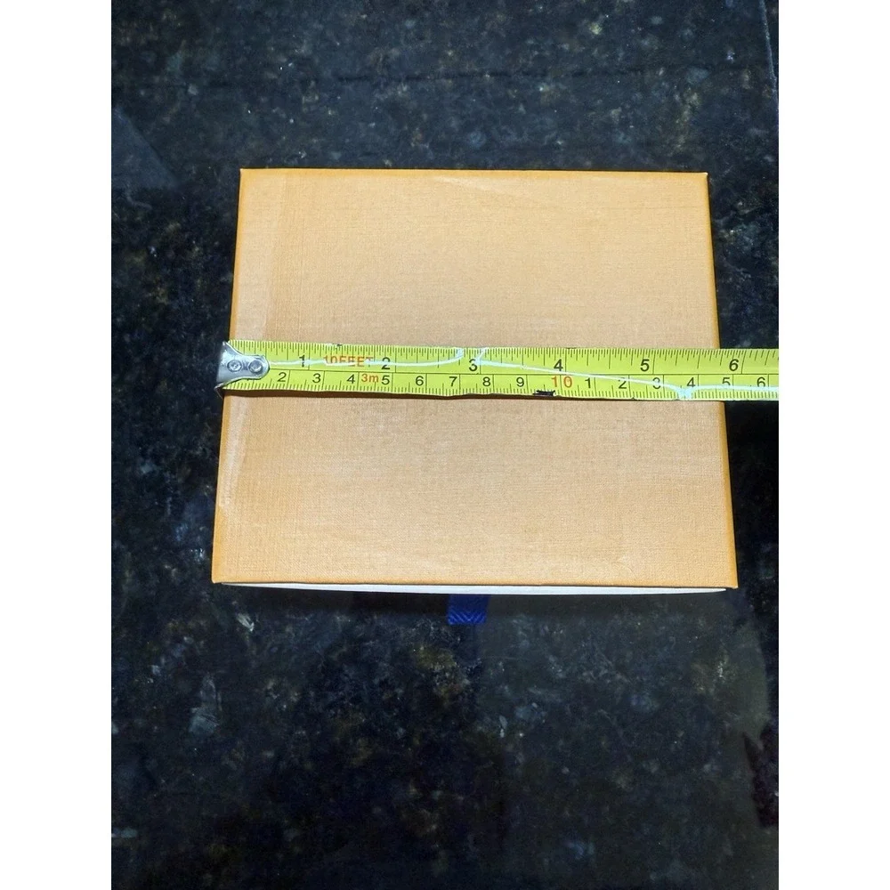 Louis Vuitton bag over dust