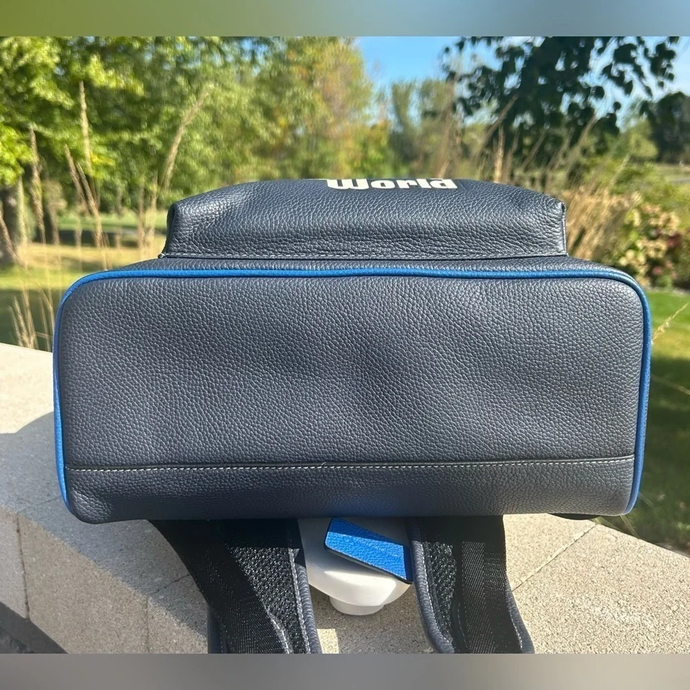 Coach back compartments