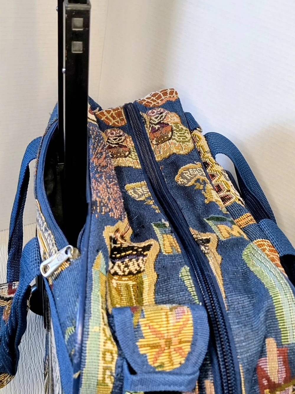American uni stylish blue
