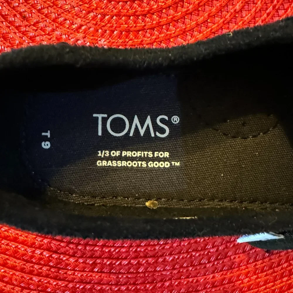 Toms cats iridescent