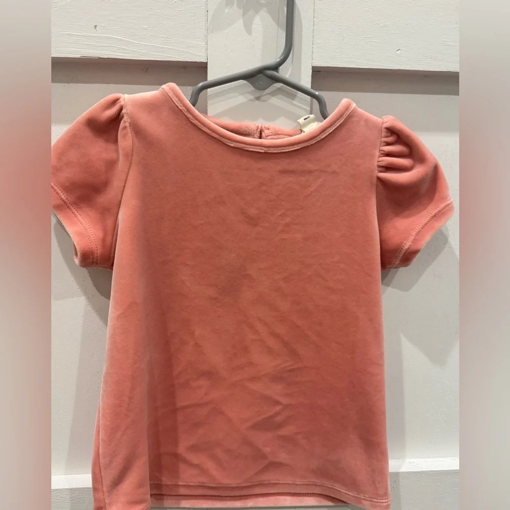 Mini Boden Velvet Puff Sleeve Top