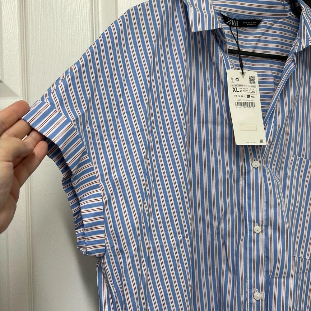 Zara features blue