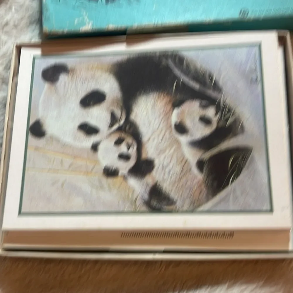 N/A charming panda