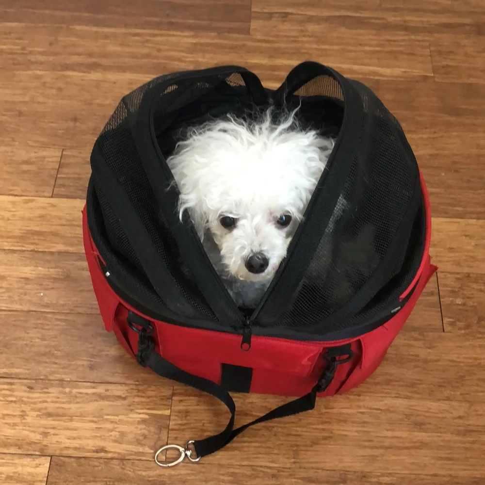 DoggyRide Cocoon doggy ride