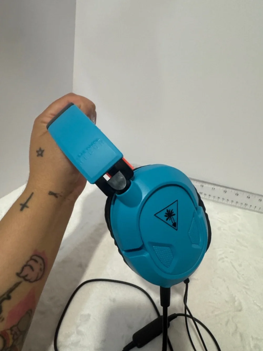 Turtle Beach turtle beach