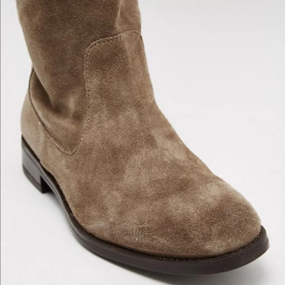 aldo taupe
