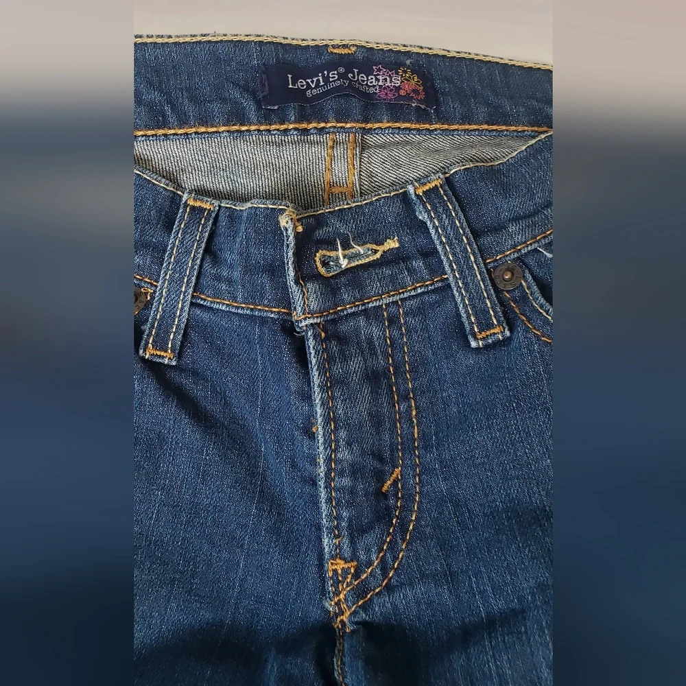 levi strauss