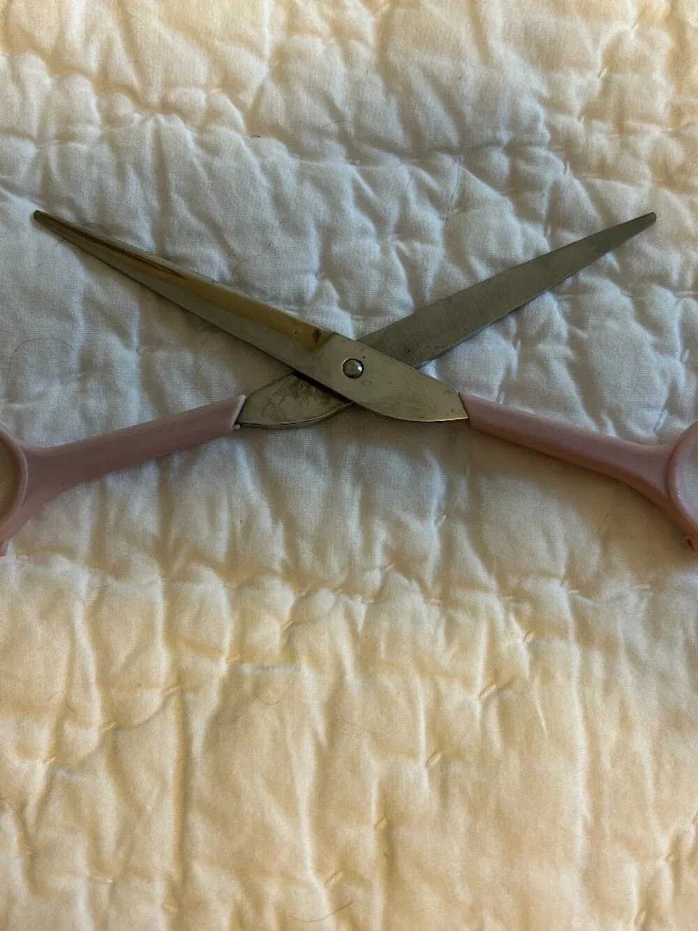 N/A pet grooming