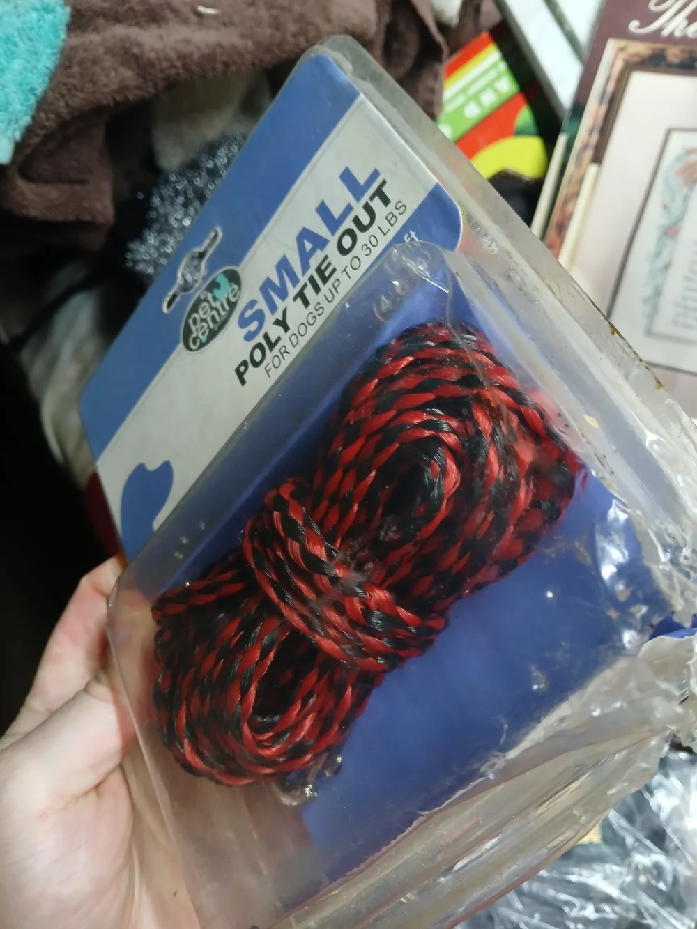 pet centre small poly