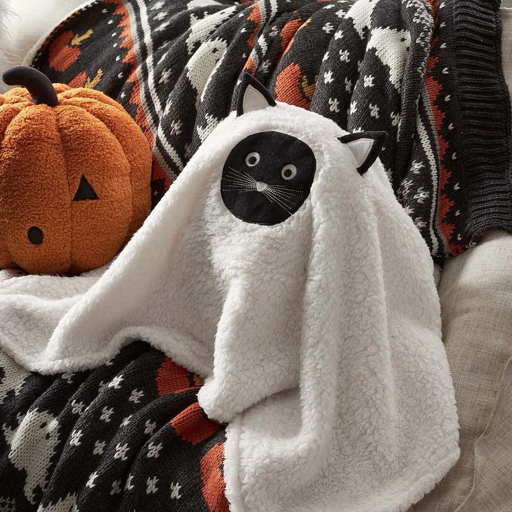 Pottery Barn Teen softest pbt