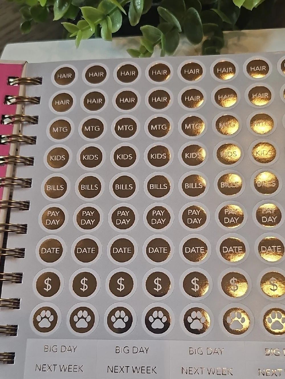 N/A spiral bound