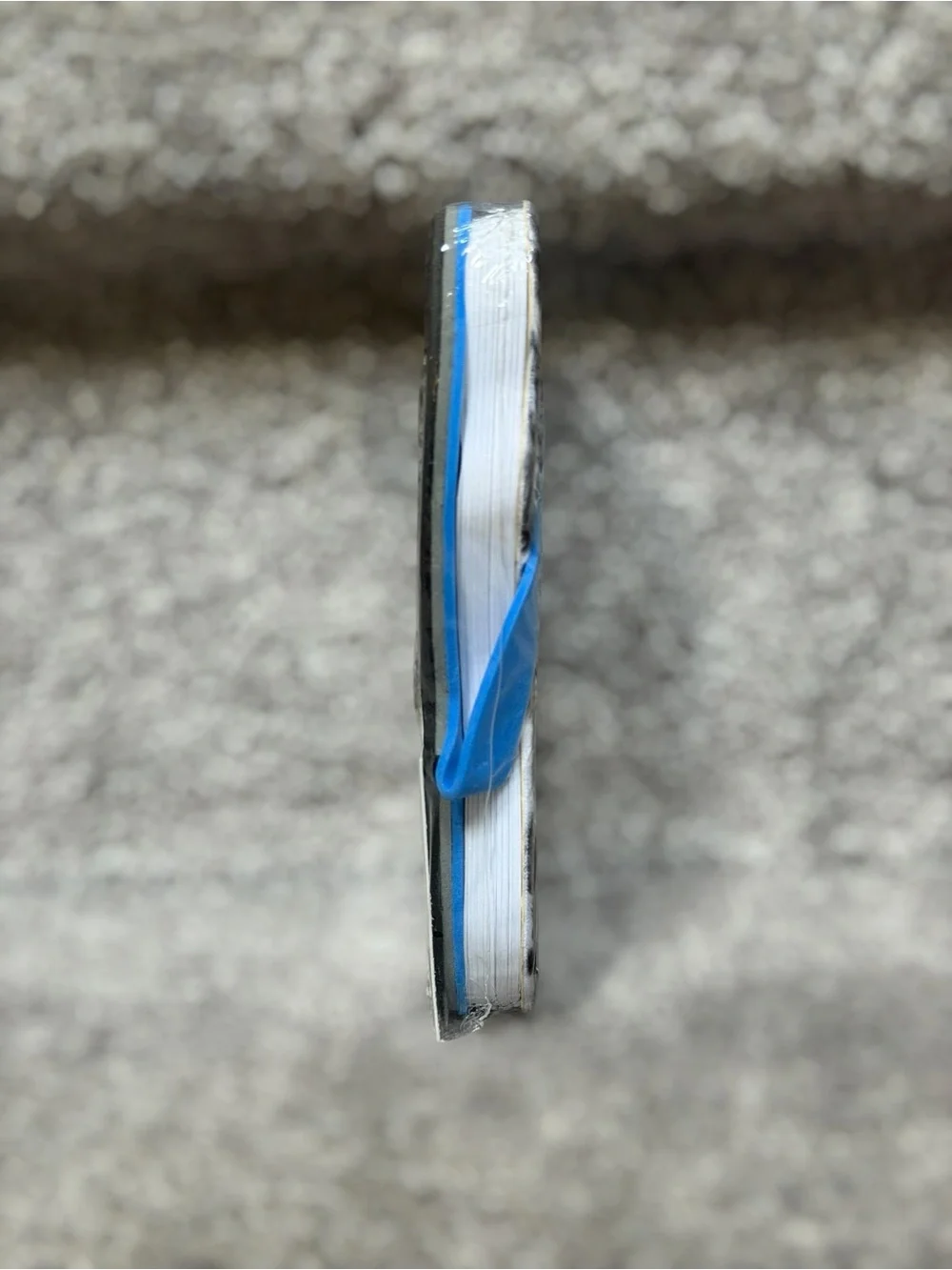 Footnotes “pawprints” novelty