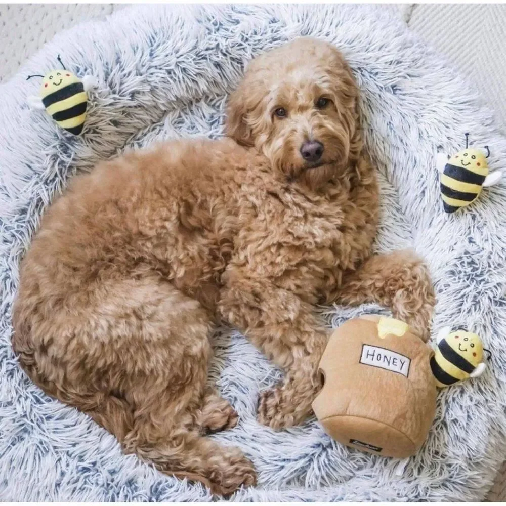Zippy Paws your loc